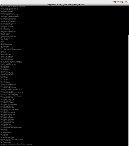 ros2 topic list